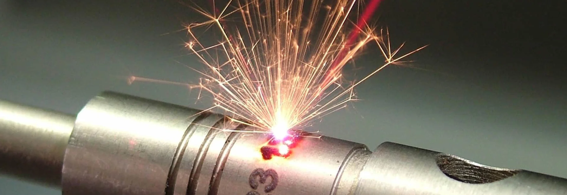 Fruits and Seeds with Spice Bowls 1